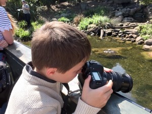Taking photos of the otters at london wetlands centre 300x225