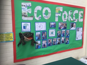 Eco force