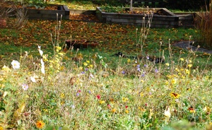 Dsc 0009