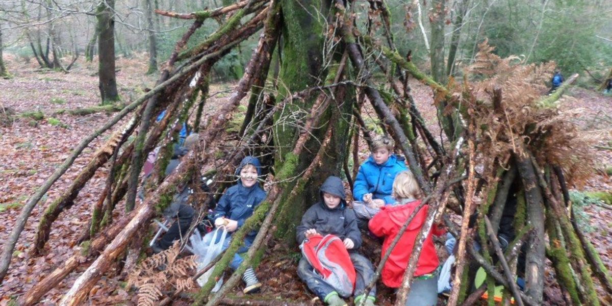 Newforest school forest fridays