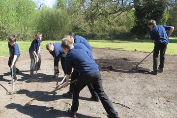 Boy rakers