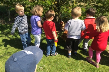 Feed the birds