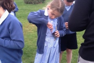 Walhampton Kiddies