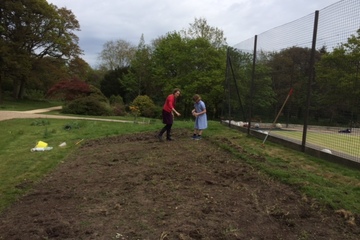 Walhampton Update