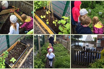 MIlford PreSchool Grow
