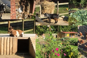 Walled garden collage