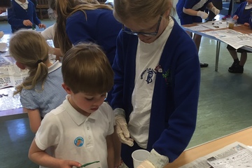 OWLS at Bransgore 3