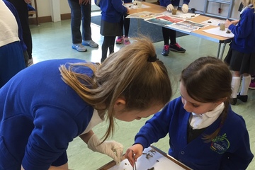 OWLS at Bransgore 4
