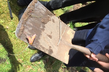 Priestlands moth find